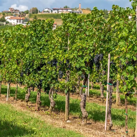 Pool & Sauna Gizela - Happy Villa *