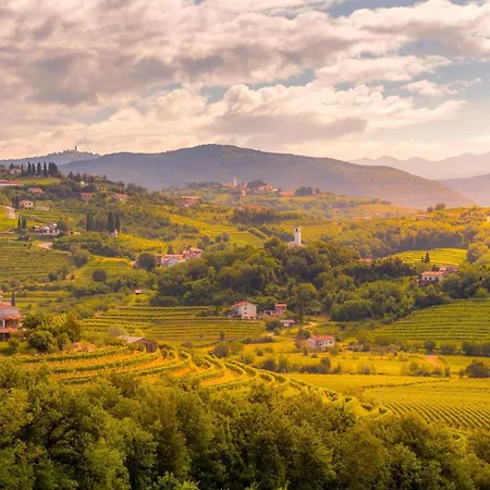 Villa Pool & Sauna Gizela - Happy Kojsko