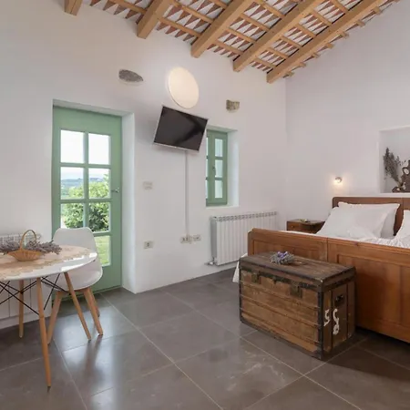 Villa Pool & Sauna Gizela - Happy *
