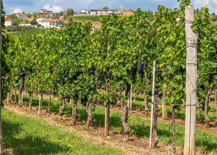 Pool & Sauna Gizela - Happy Villa *